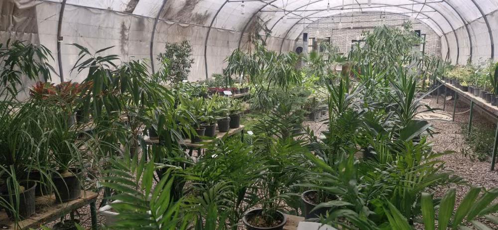 راه‌اندازی مجدد گلخانه دانشگاه