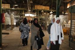 بازدید علمی دانشجویان مرکز آموزش زبان فارسی از شرکت فرش دیبا